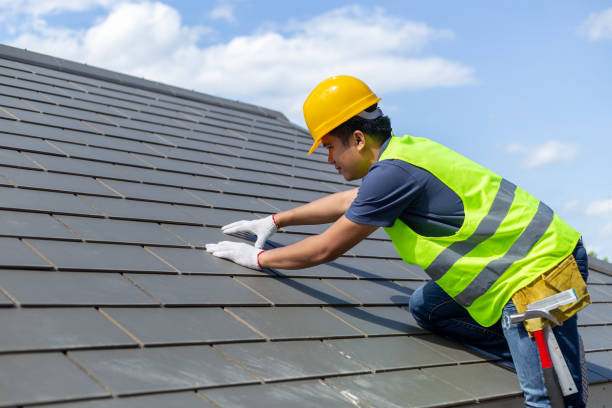 Best Shingle Roofing Installation  in Olive Hill, KY
