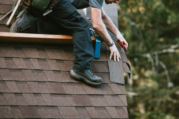 Best Roof Replacement Cost  in Olive Hill, KY